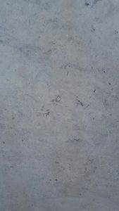 THALA GRIS